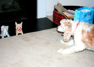 Summer Plays with pretend doggy