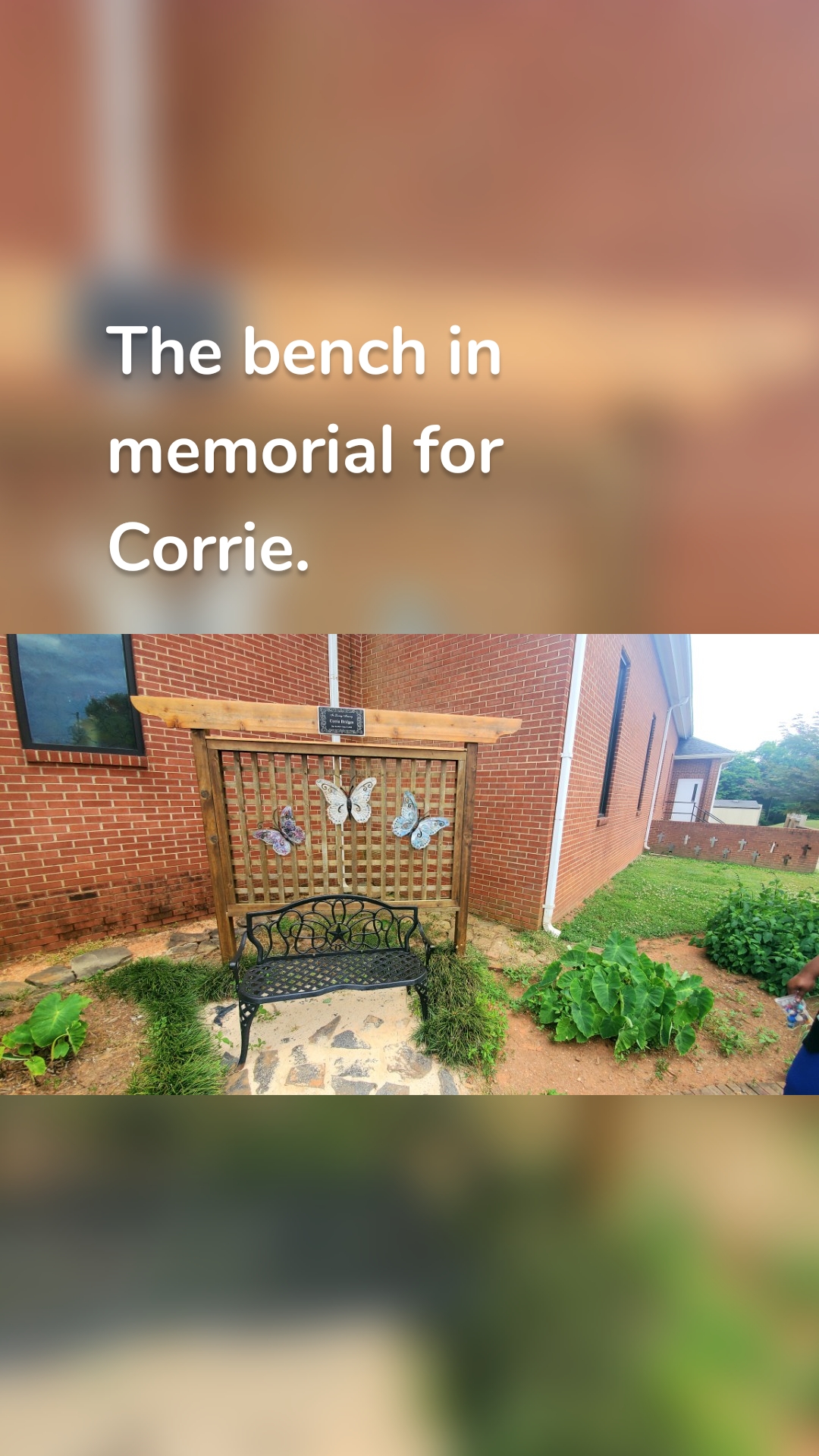 The bench in memorial for Corrie.